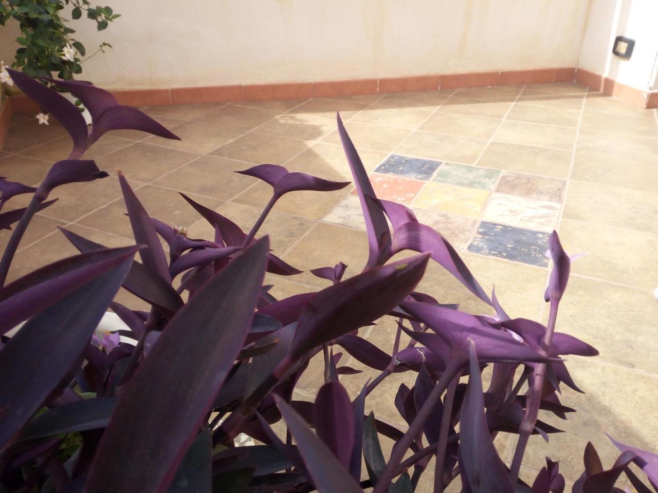 Al Centro Storico Bed & Breakfast 3*